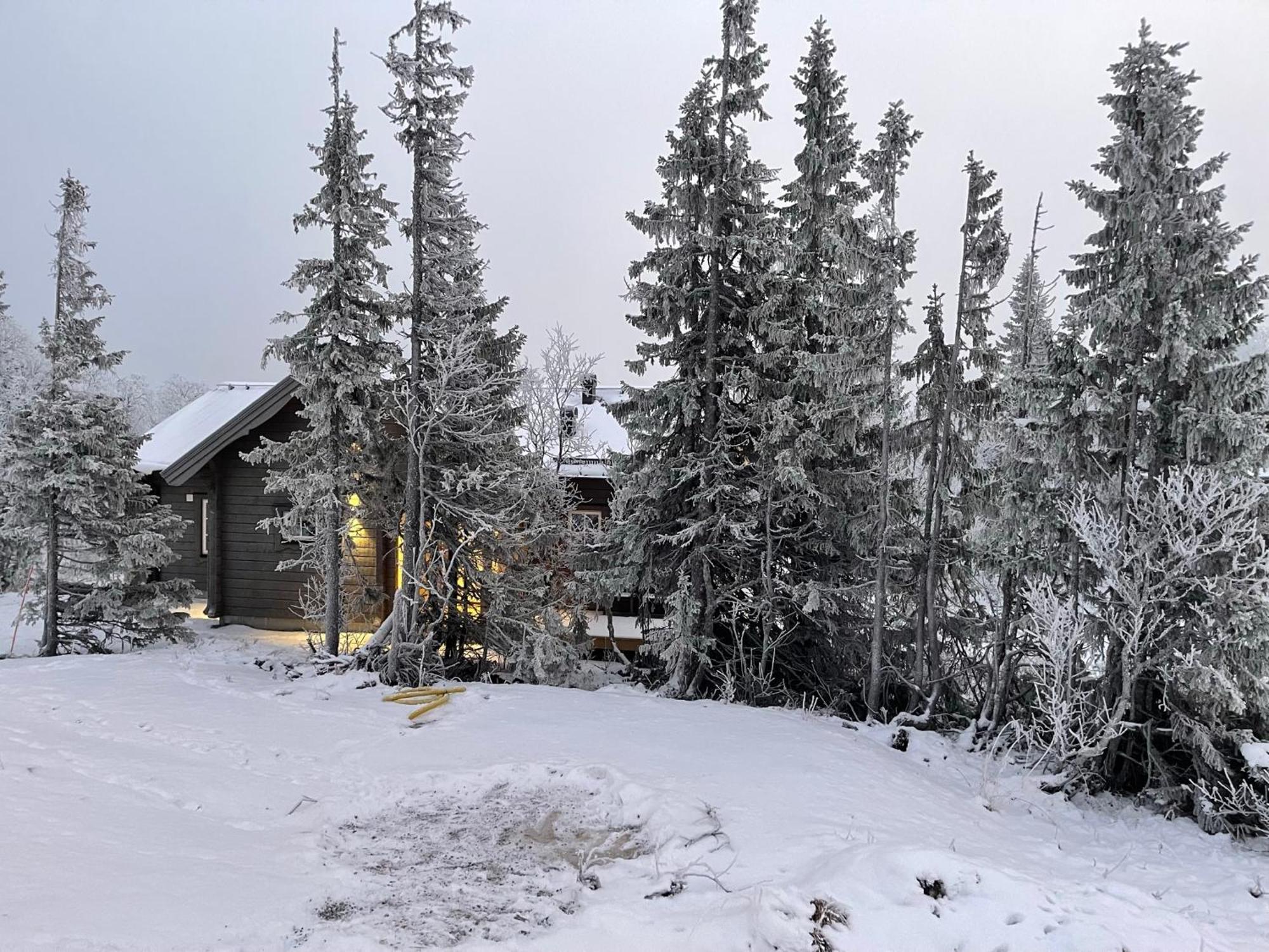 Mountain Holiday Homes - Ottsjoe, Trillevallen -Sweden Åre Стая снимка